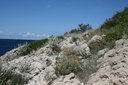 gal/cro 08/_thb_small-IMG_5209.JPG